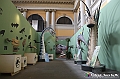 VBS_0851 - Dinosauri. Terra dei giganti